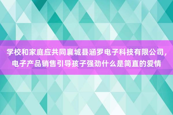 学校和家庭应共同襄城县涵罗电子科技有限公司，电子产品销售引导孩子强劲什么是简直的爱情