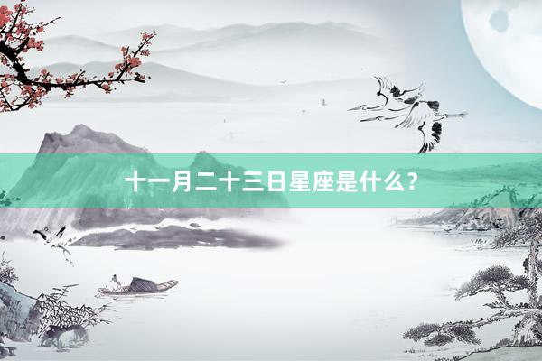 十一月二十三日星座是什么？